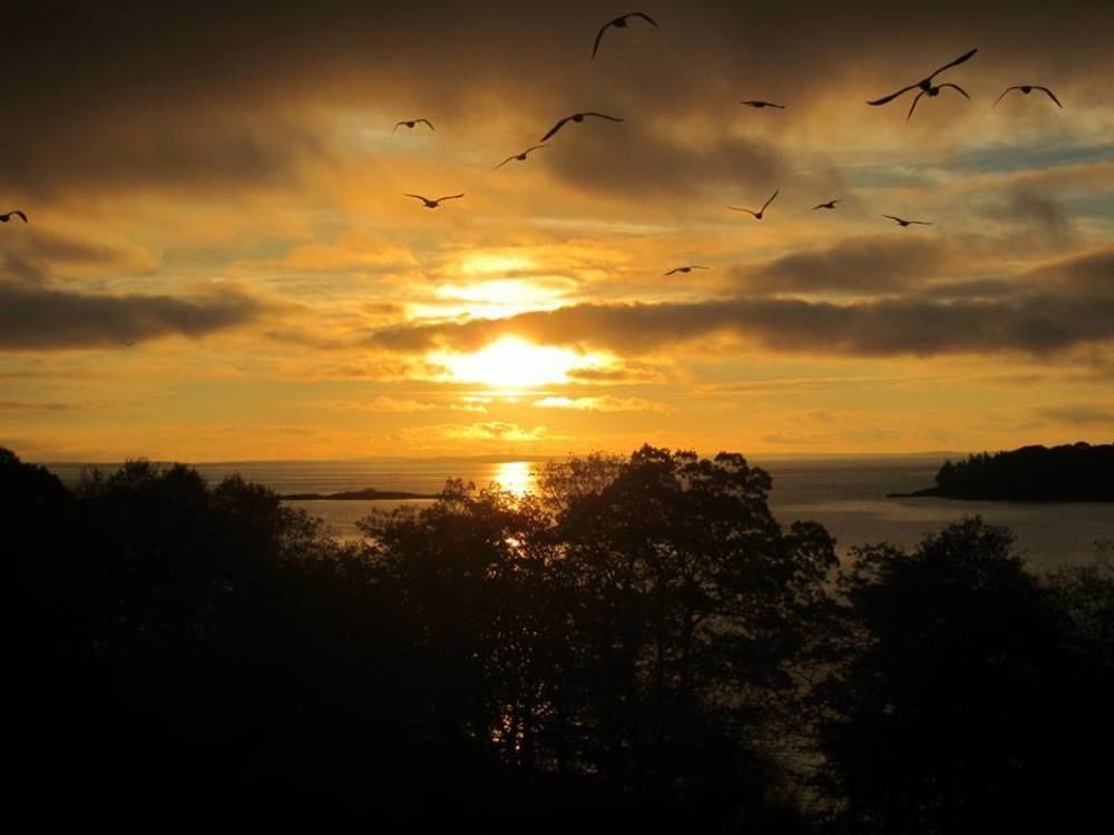 Ledges By The Bay Motel ร็อคพอร์ท ภายนอก รูปภาพ